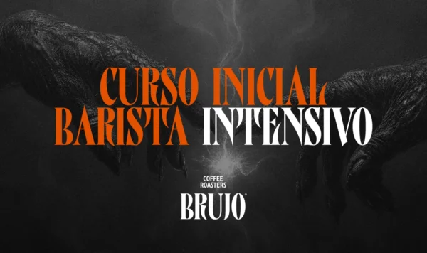 Curso Barista Inicial Intensivo