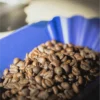 Curso Barista Inicial Intensivo