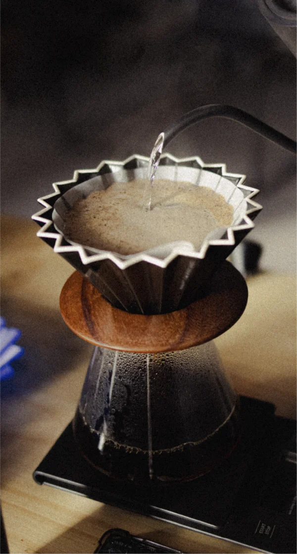 Curso Barista Inicial Intensivo