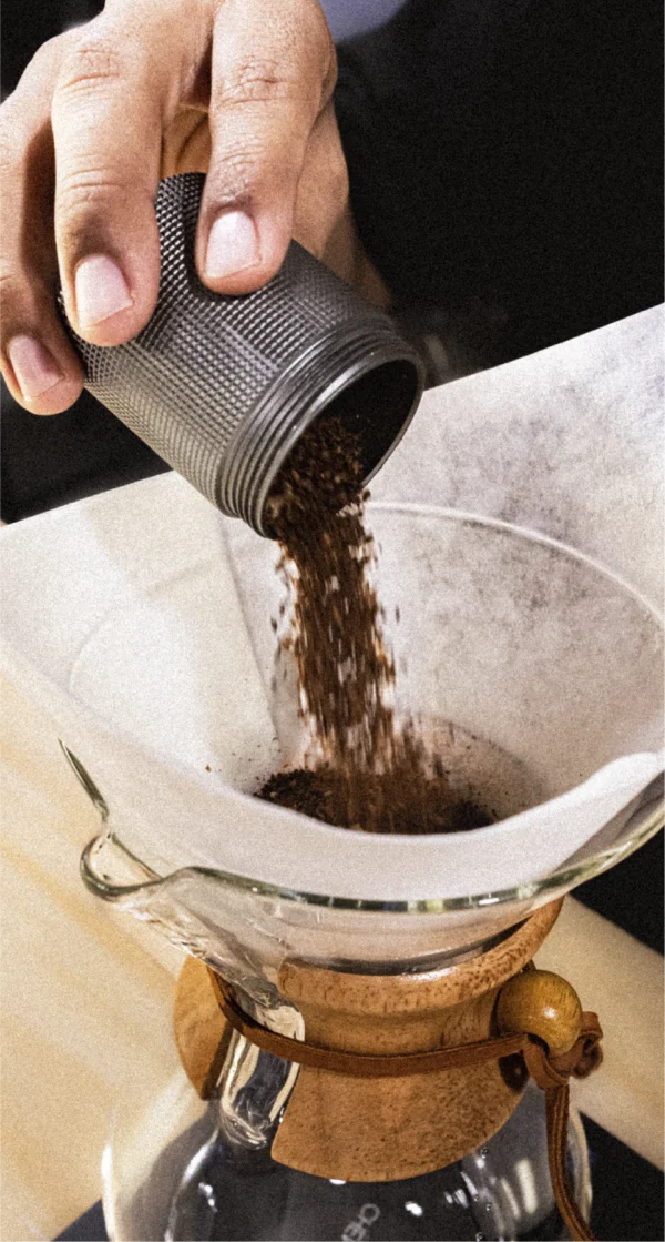 Curso Barista Inicial Intensivo