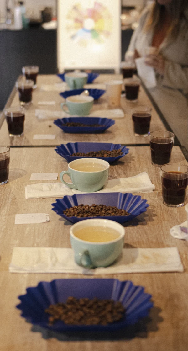 Curso Barista Inicial Intensivo